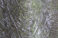 Albert Town fibreglass roof work