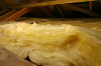 Albert Town pitch roof insulation